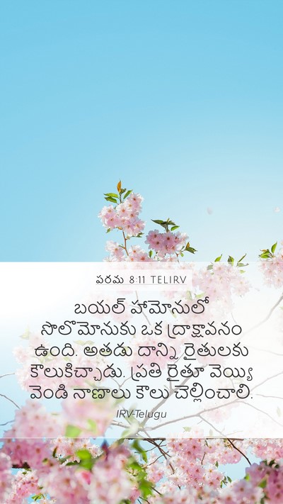 పరమ 8:11 TELIRV Bible Verse Image