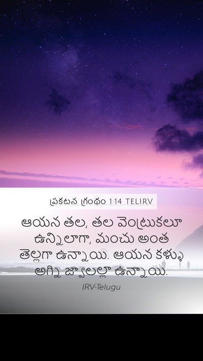 ప్రకటన గ్రంథం 1:14 TELIRV Bible Verse Image