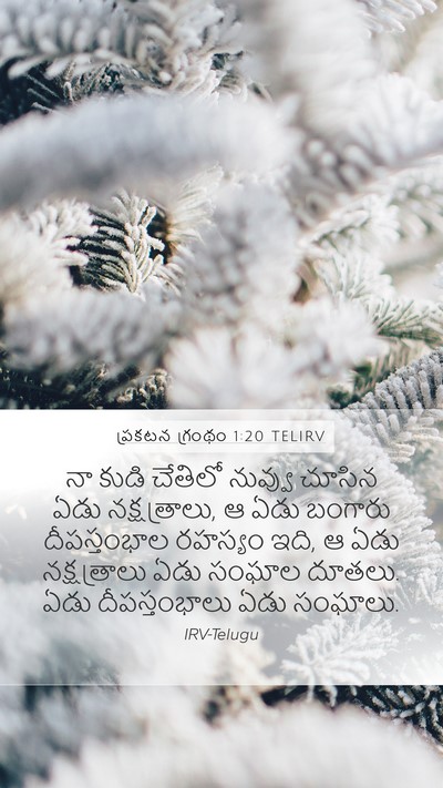 ప్రకటన గ్రంథం 1:20 TELIRV Bible Verse Image
