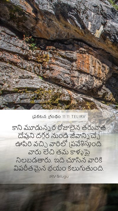 ప్రకటన గ్రంథం 11:11 TELIRV Bible Verse Image