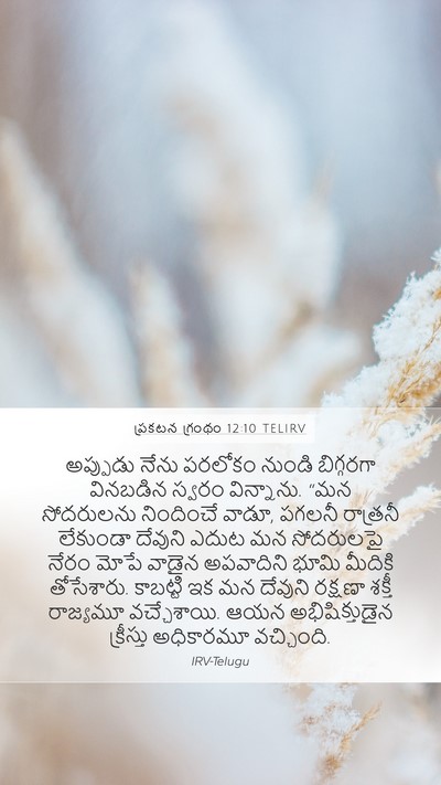 ప్రకటన గ్రంథం 12:10 TELIRV Bible Verse Image