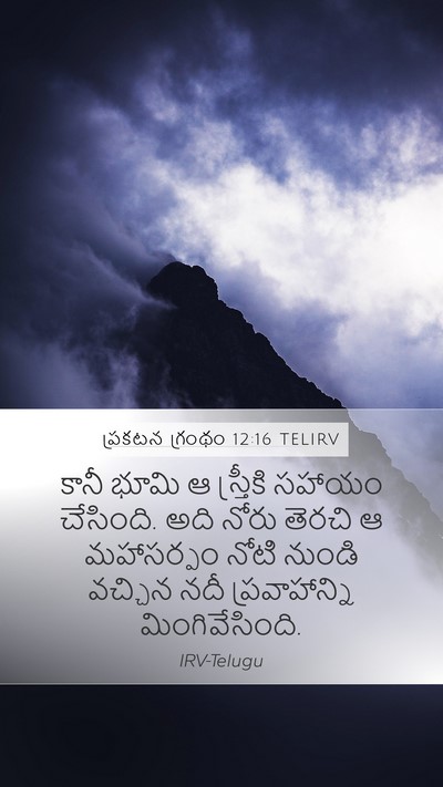 ప్రకటన గ్రంథం 12:16 TELIRV Bible Verse Image