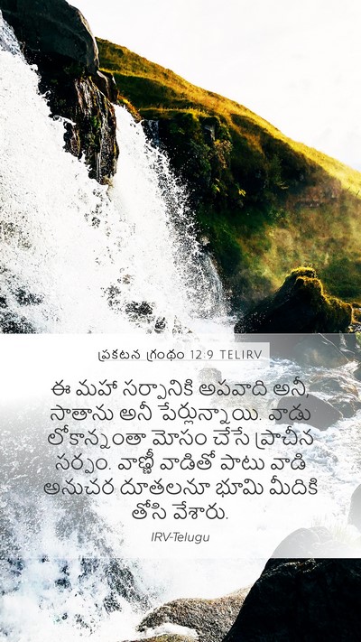 ప్రకటన గ్రంథం 12:9 TELIRV Bible Verse Image