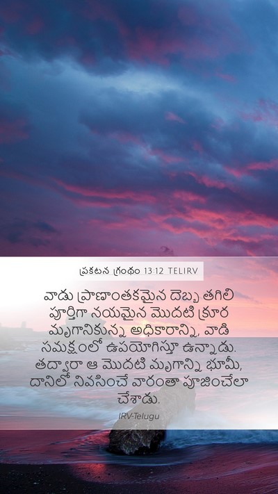 ప్రకటన గ్రంథం 13:12 TELIRV Bible Verse Image