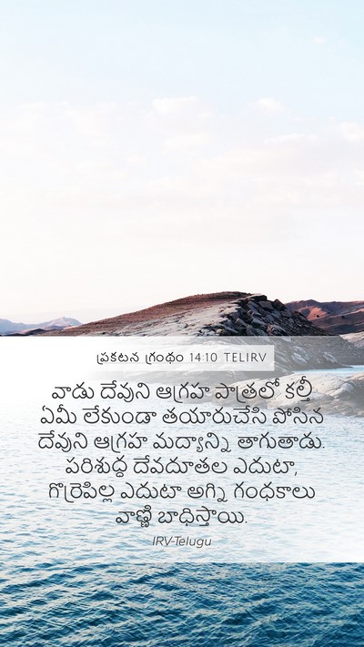 ప్రకటన గ్రంథం 14:10 TELIRV Bible Verse Image