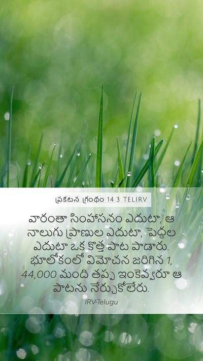 ప్రకటన గ్రంథం 14:3 TELIRV Bible Verse Image