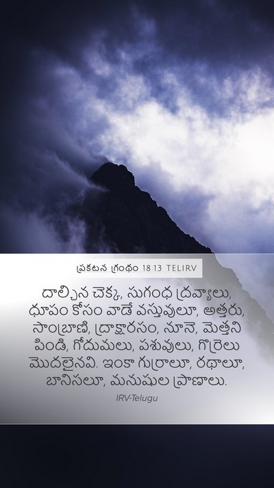 ప్రకటన గ్రంథం 18:13 TELIRV Bible Verse Image