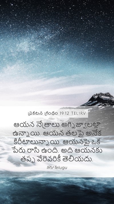 ప్రకటన గ్రంథం 19:12 TELIRV Bible Verse Image