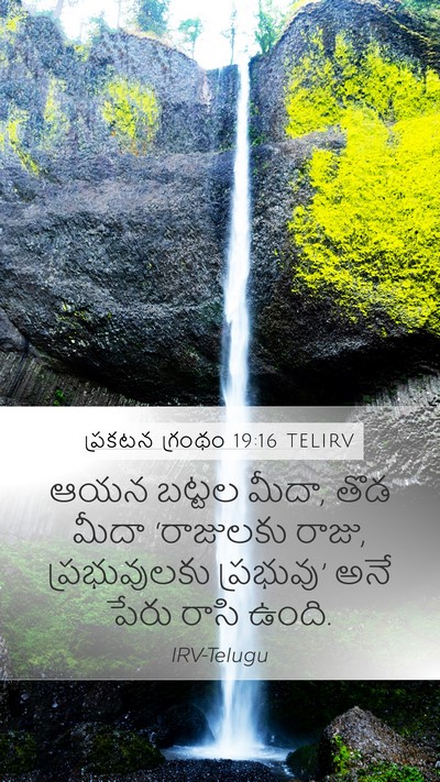 ప్రకటన గ్రంథం 19:16 TELIRV Bible Verse Image