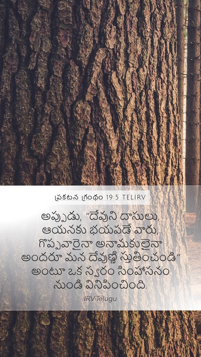 ప్రకటన గ్రంథం 19:5 TELIRV Bible Verse Image
