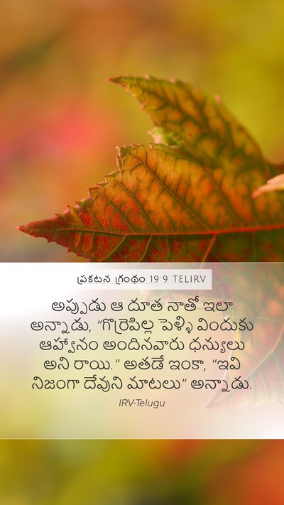 ప్రకటన గ్రంథం 19:9 TELIRV Bible Verse Image