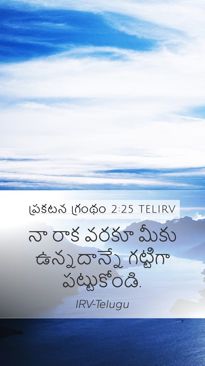 ప్రకటన గ్రంథం 2:25 TELIRV Bible Verse Image