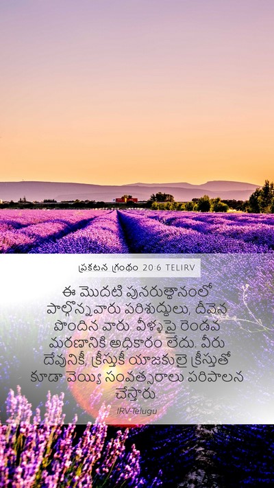 ప్రకటన గ్రంథం 20:6 TELIRV Bible Verse Image