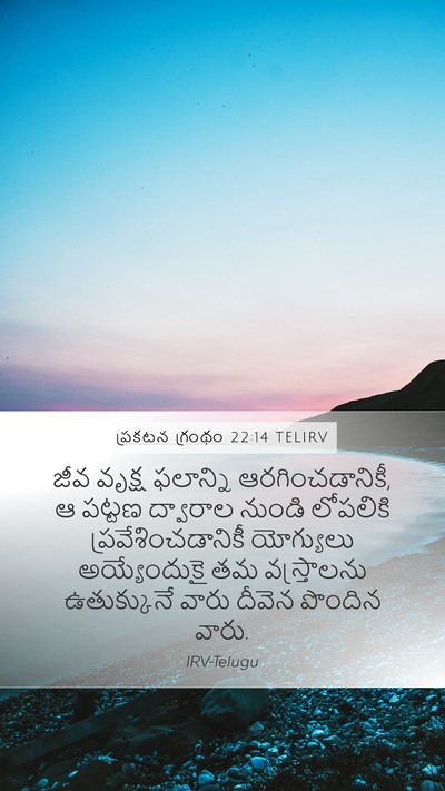 ప్రకటన గ్రంథం 22:14 TELIRV Bible Verse Image