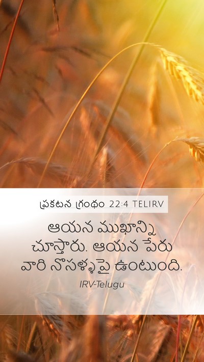 ప్రకటన గ్రంథం 22:4 TELIRV Bible Verse Image