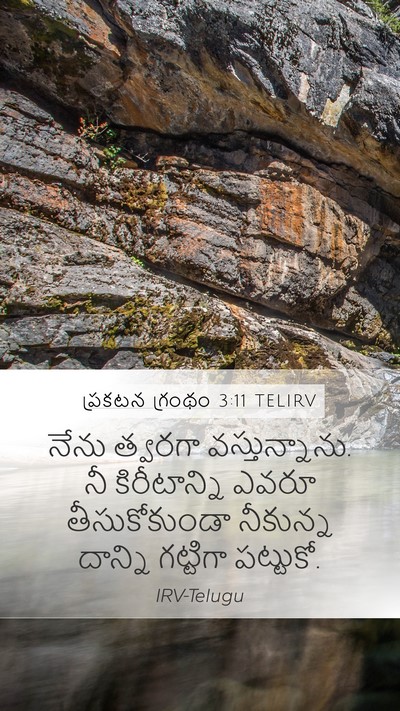 ప్రకటన గ్రంథం 3:11 TELIRV Bible Verse Image