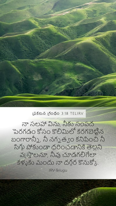 ప్రకటన గ్రంథం 3:18 TELIRV Bible Verse Image