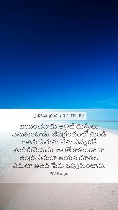 ప్రకటన గ్రంథం 3:5 TELIRV Bible Verse Image