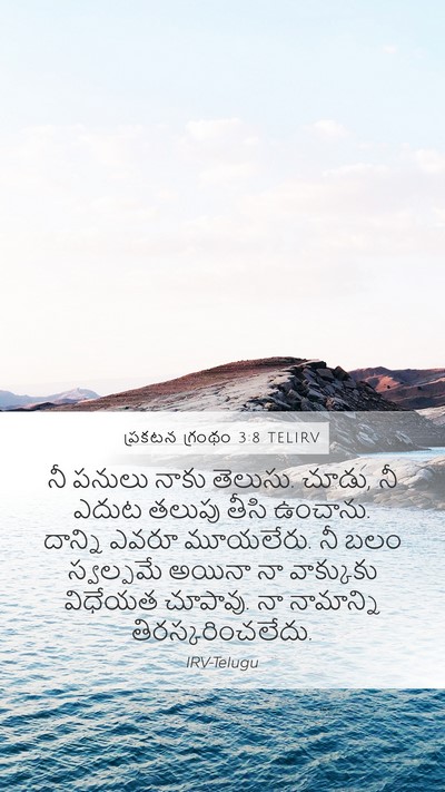 ప్రకటన గ్రంథం 3:8 TELIRV Bible Verse Image