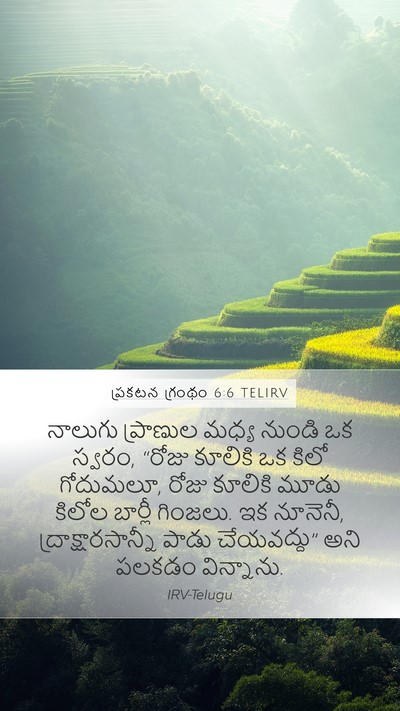 ప్రకటన గ్రంథం 6:6 TELIRV Bible Verse Image