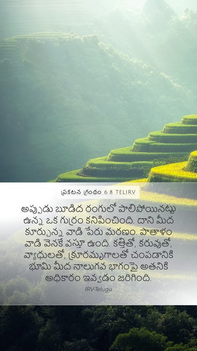 ప్రకటన గ్రంథం 6:8 TELIRV Bible Verse Image