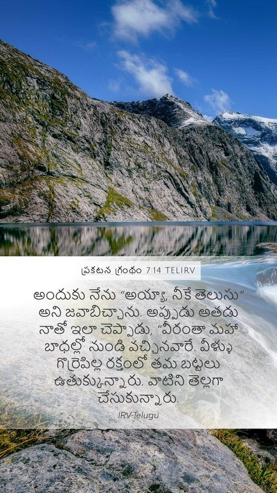 ప్రకటన గ్రంథం 7:14 TELIRV Bible Verse Image