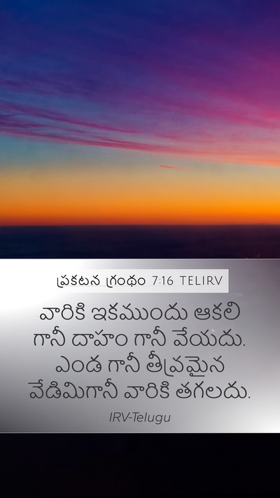 ప్రకటన గ్రంథం 7:16 TELIRV Bible Verse Image