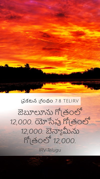 ప్రకటన గ్రంథం 7:8 TELIRV Bible Verse Image
