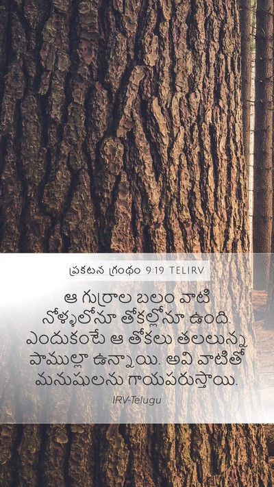 ప్రకటన గ్రంథం 9:19 TELIRV Bible Verse Image
