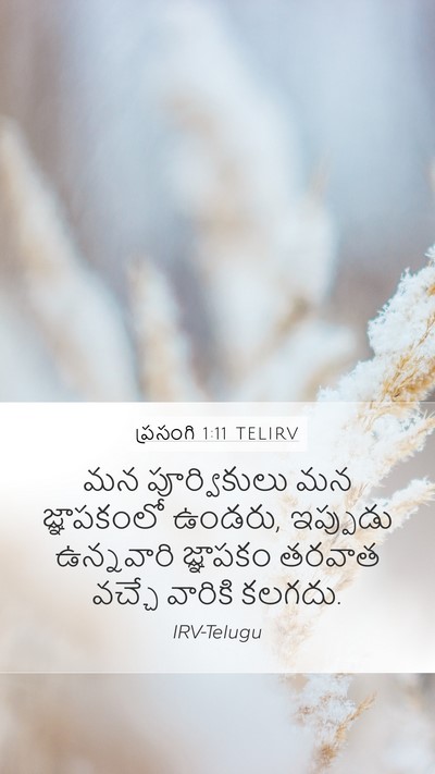 ప్రసంగి 1:11 TELIRV Bible Verse Image