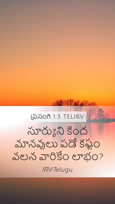 ప్రసంగి 1:3 TELIRV Bible Verse Image