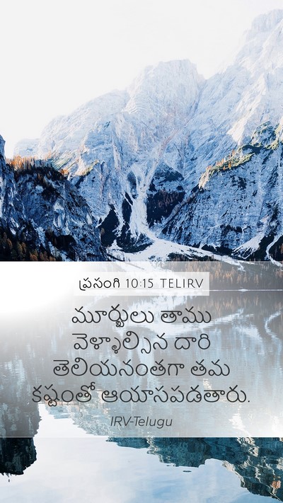 ప్రసంగి 10:15 TELIRV Bible Verse Image