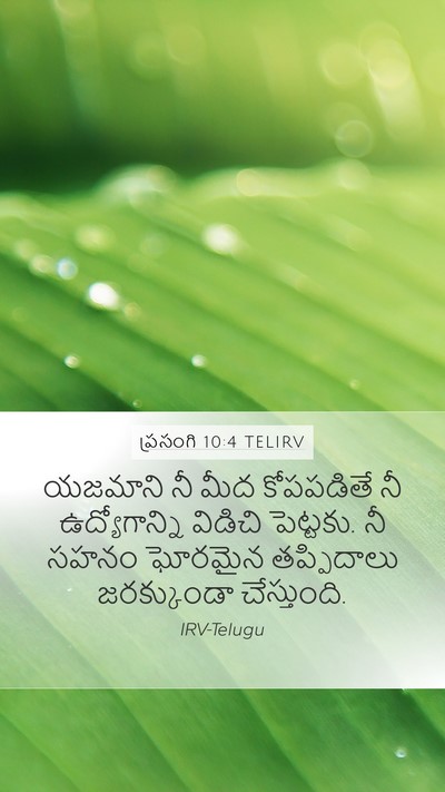 ప్రసంగి 10:4 TELIRV Bible Verse Image