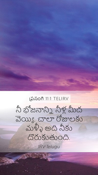ప్రసంగి 11:1 TELIRV Bible Verse Image