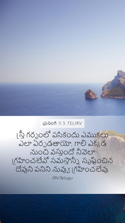 ప్రసంగి 11:5 TELIRV Bible Verse Image