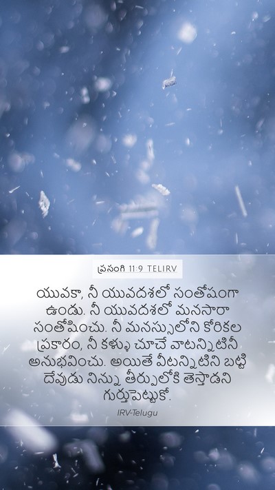 ప్రసంగి 11:9 TELIRV Bible Verse Image