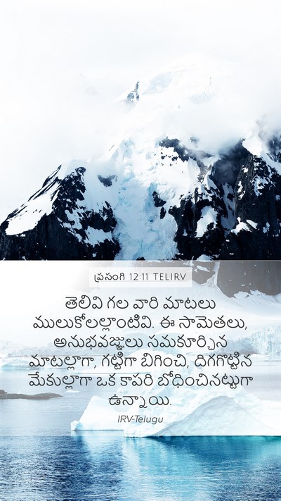 ప్రసంగి 12:11 TELIRV Bible Verse Image