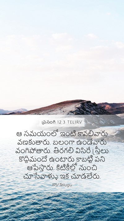 ప్రసంగి 12:3 TELIRV Bible Verse Image