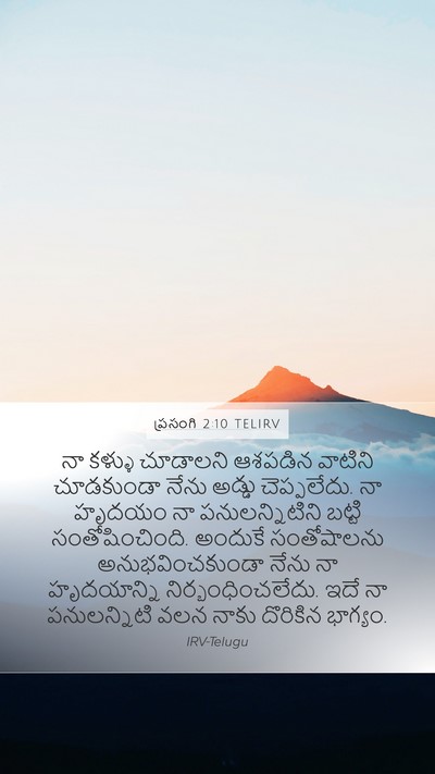 ప్రసంగి 2:10 TELIRV Bible Verse Image