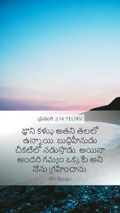 ప్రసంగి 2:14 TELIRV Mobile Phone Wallpaper - జ్ఞాని కళ్ళు అతని - Mobile Bible Verse Wallpaper
