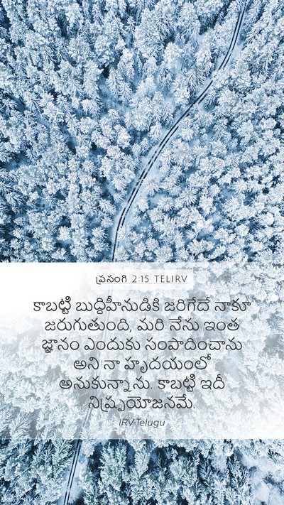 ప్రసంగి 2:15 TELIRV Bible Verse Image
