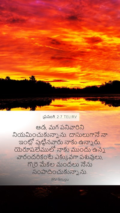 ప్రసంగి 2:7 TELIRV Bible Verse Image