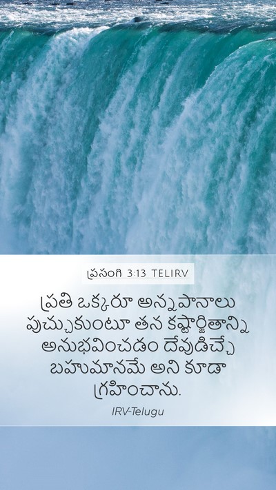 ప్రసంగి 3:13 TELIRV Bible Verse Image
