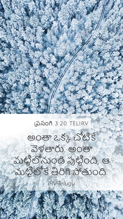 ప్రసంగి 3:20 TELIRV Bible Verse Image