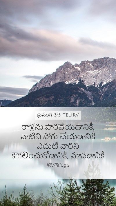 ప్రసంగి 3:5 TELIRV Mobile Phone Wallpaper - రాళ్లను - Mobile Bible Verse Wallpaper
