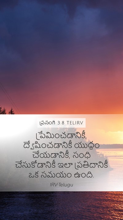 ప్రసంగి 3:8 TELIRV Bible Verse Image