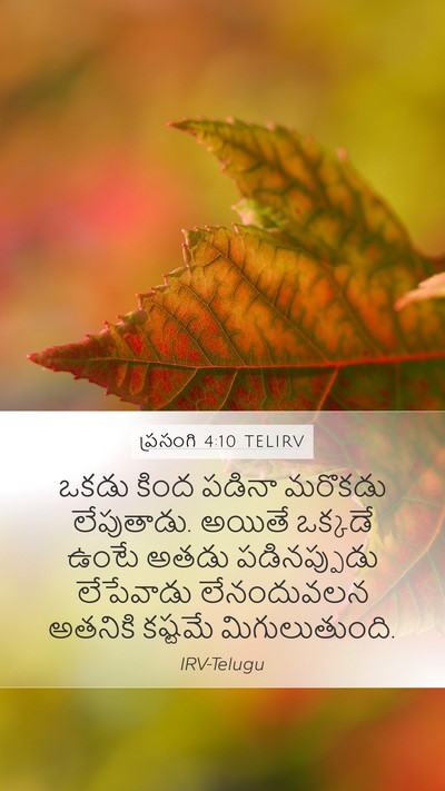 ప్రసంగి 4:10 TELIRV Bible Verse Image
