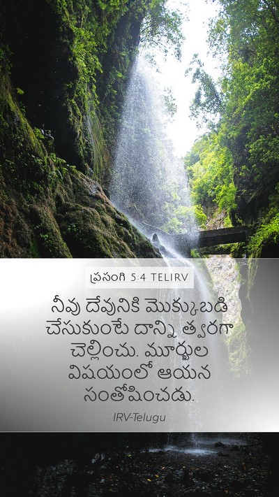 ప్రసంగి 5:4 TELIRV Bible Verse Image