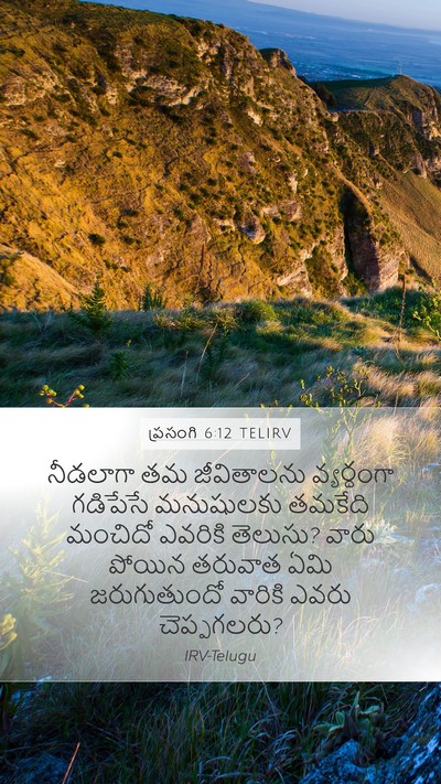 ప్రసంగి 6:12 TELIRV Bible Verse Image