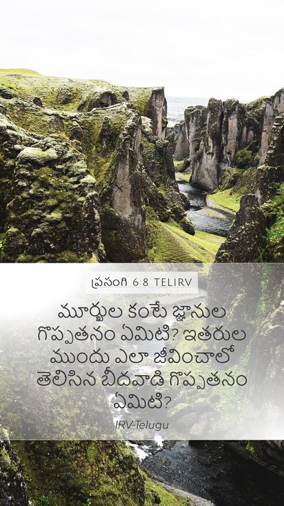 ప్రసంగి 6:8 TELIRV Bible Verse Image